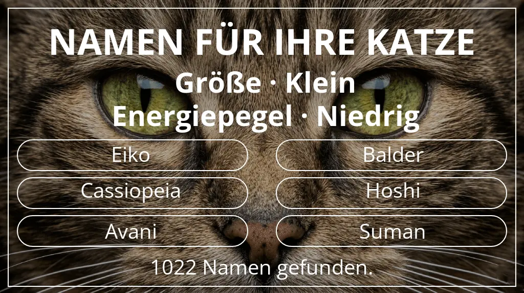 Katzennamen basierend auf größe klein und energiepegel niedrig