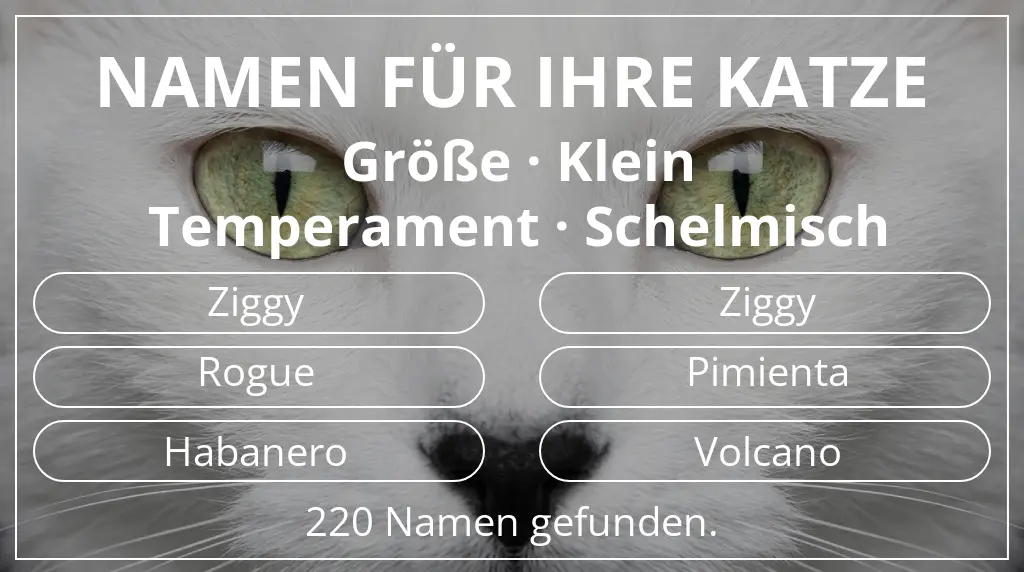 Katzennamen inspiriert von größe klein und temperament schelmisch