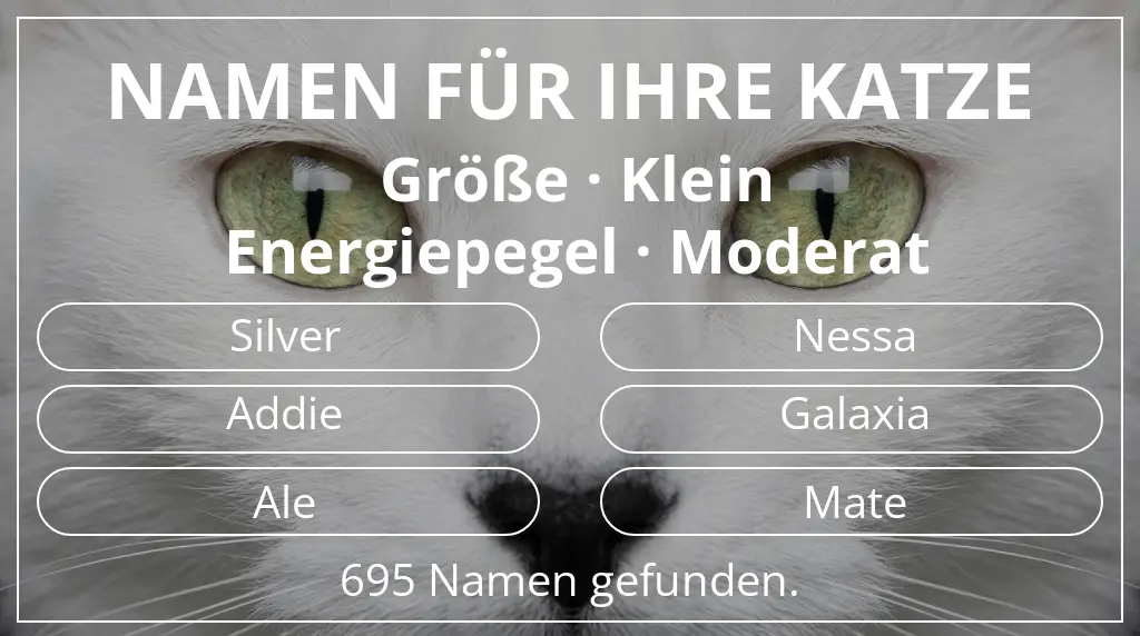 Namen für Katzen inspiriert von größe klein und energiepegel moderat