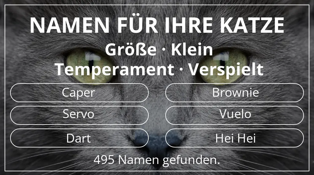 Katzennamen inspiriert von größe klein und temperament verspielt