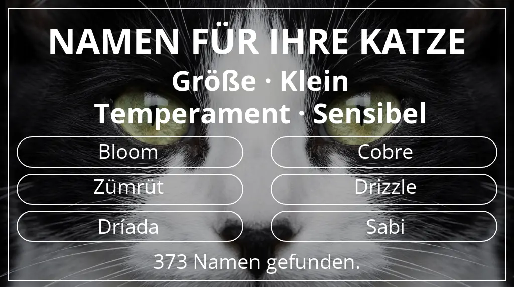 Katzennamen passend zu größe klein und temperament sensibel