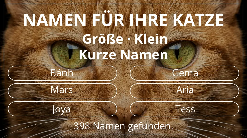 Namen für Katzen inspiriert von größe klein und namenslänge kurz (2–4)