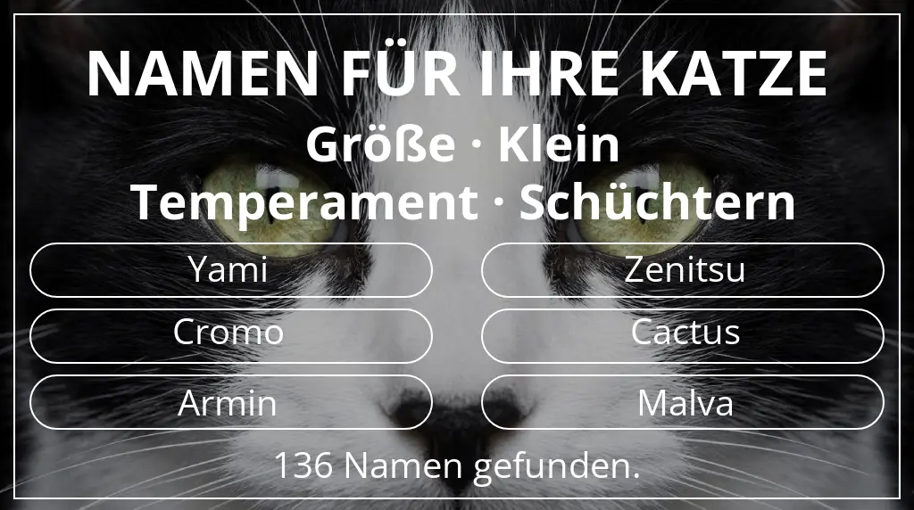 Katzennamen basierend auf größe klein und temperament schüchtern
