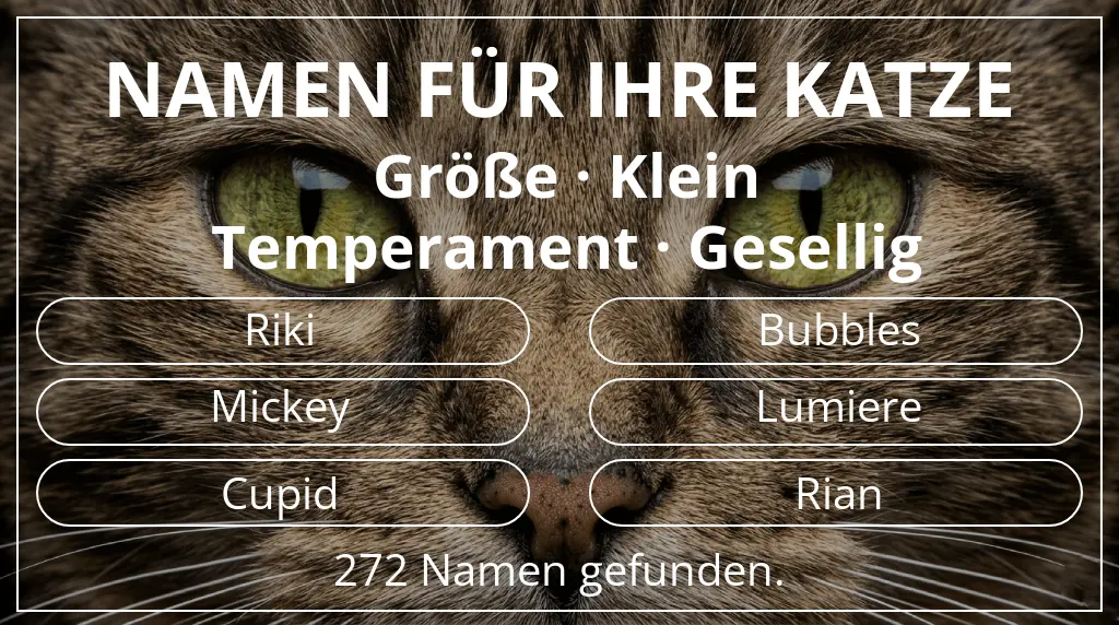 Katzennamen inspiriert von größe klein und temperament gesellig
