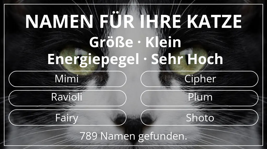 Katzennamen passend zu größe klein und energiepegel sehr hoch