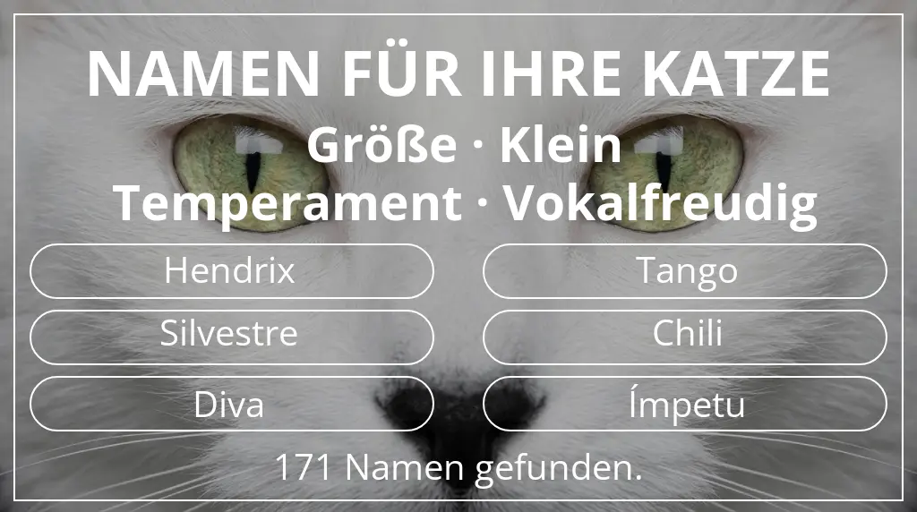 Katzennamen passend zu größe klein und temperament vokalfreudig