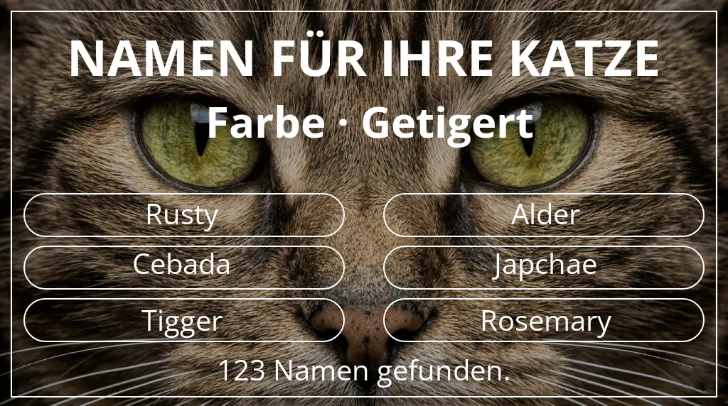 Katzennamen inspiriert von farbe getigert