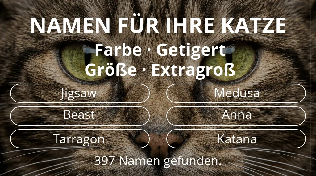 Namen für Katzen basierend auf farbe getigert und größe extragroß