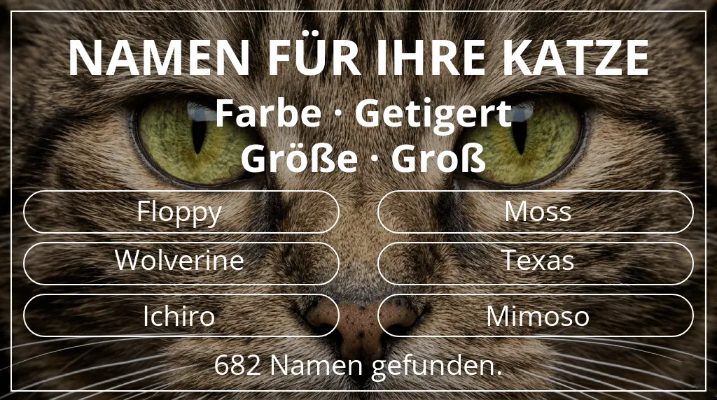 Namen für Katzen passend zu farbe getigert und größe groß