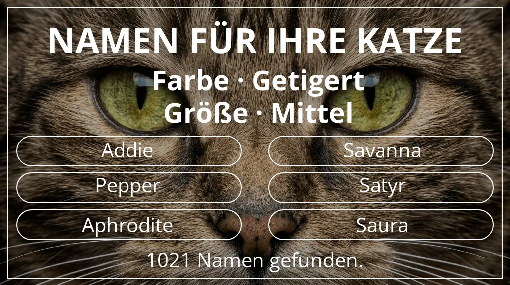 Namen für Katzen passend zu farbe getigert und größe mittel