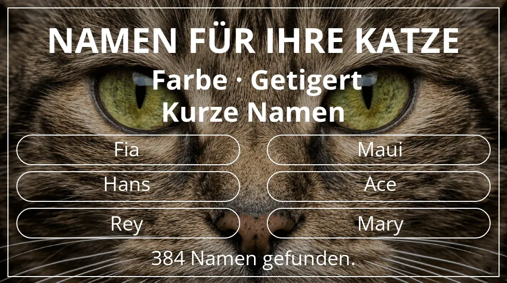 Katzennamen passend zu farbe getigert und namenslänge kurz (2–4)