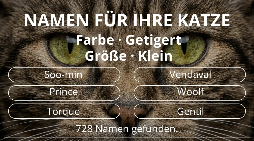 Namen für Katzen inspiriert von farbe getigert und größe klein