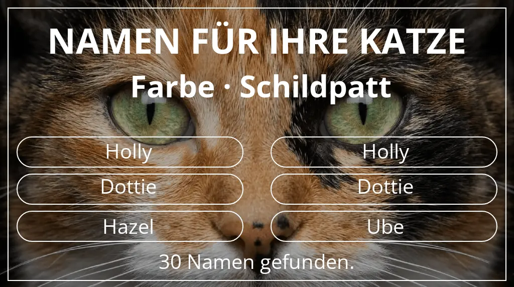 Namen für Katzen inspiriert von farbe schildpatt