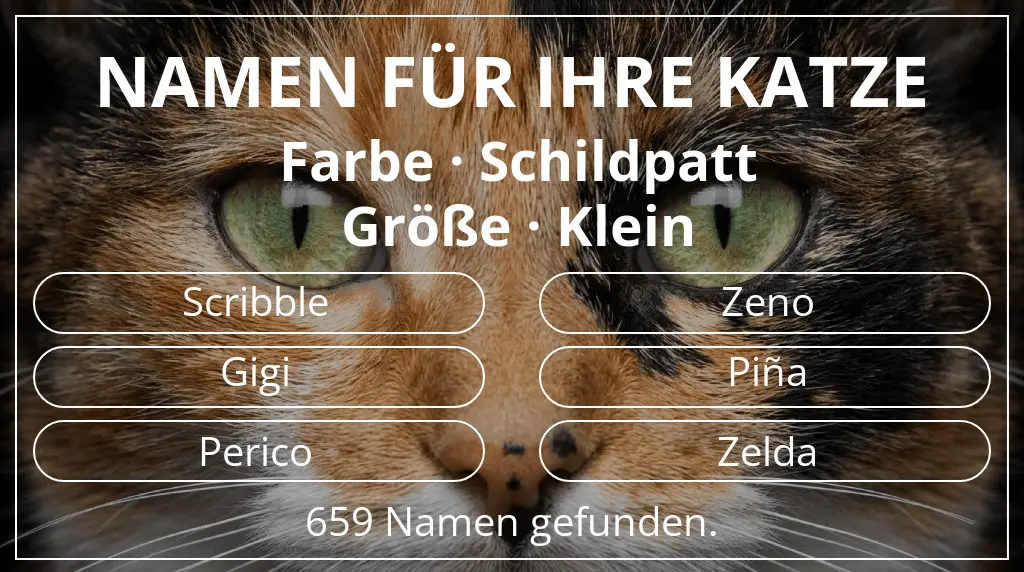 Katzennamen inspiriert von farbe schildpatt und größe klein