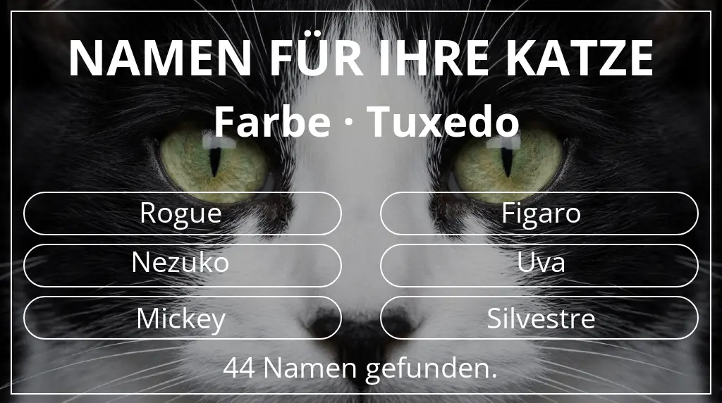Namen für Katzen inspiriert von farbe tuxedo