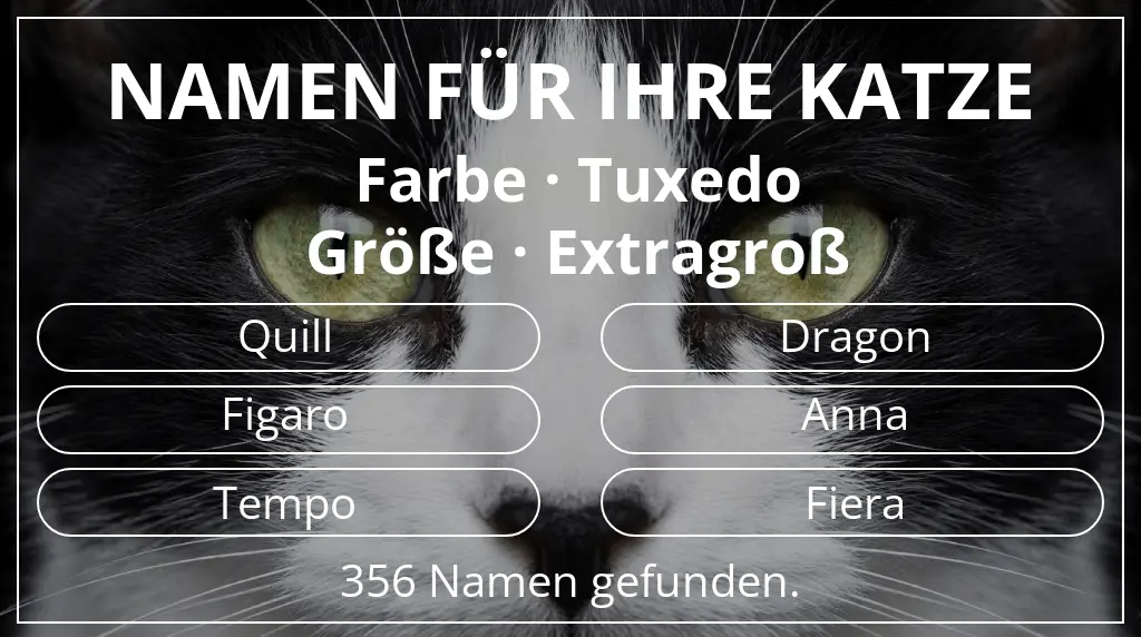 Katzennamen passend zu farbe tuxedo und größe extragroß