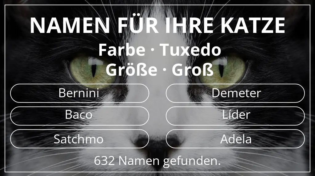 Katzennamen passend zu farbe tuxedo und größe groß