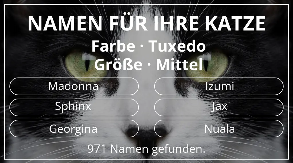 Namen für Katzen inspiriert von farbe tuxedo und größe mittel