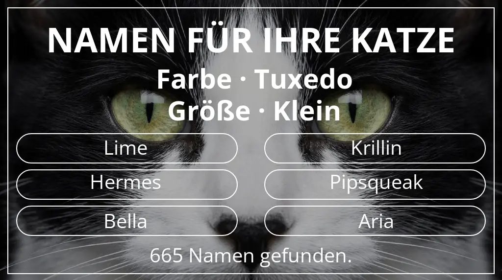 Namen für Katzen passend zu farbe tuxedo und größe klein