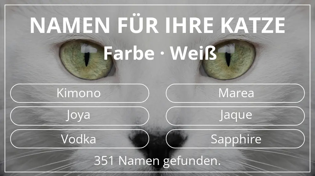 Katzennamen inspiriert von farbe weiß