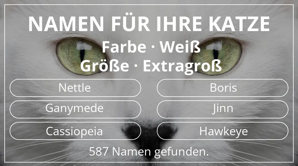 Katzennamen passend zu farbe weiß und größe extragroß