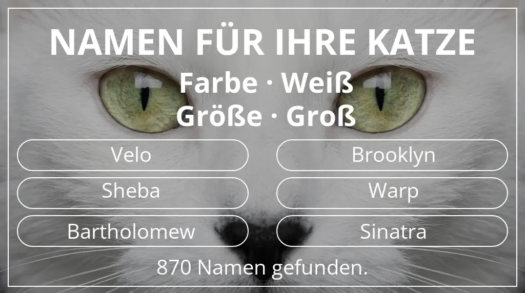 Namen für Katzen inspiriert von farbe weiß und größe groß