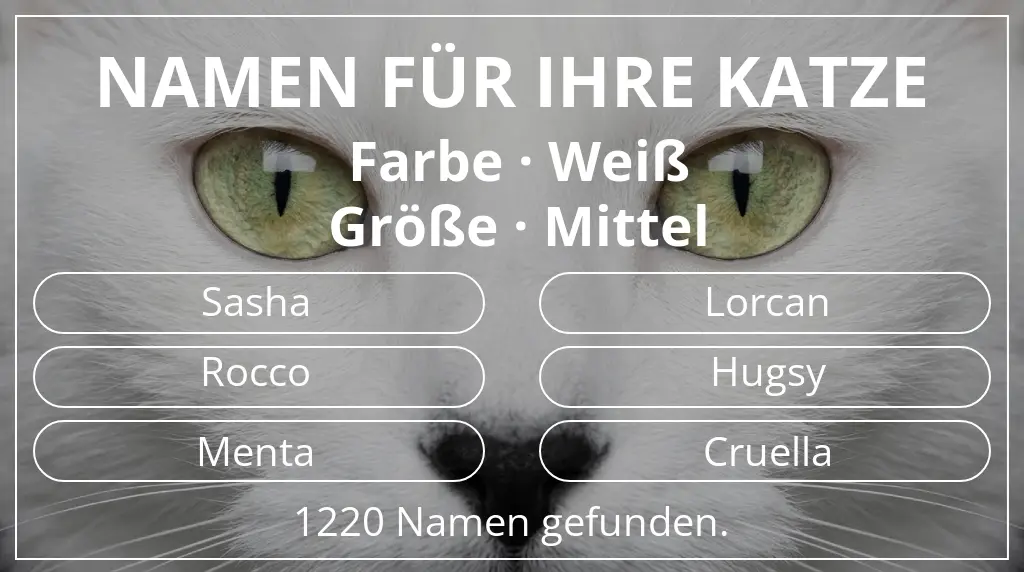 Katzennamen basierend auf farbe weiß und größe mittel