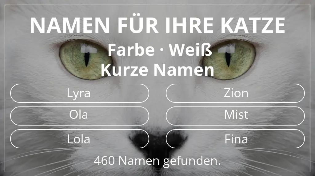 Namen für Katzen passend zu farbe weiß und namenslänge kurz (2–4)