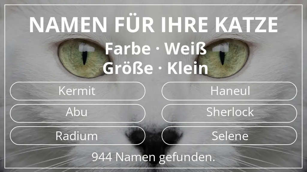 Namen für Katzen basierend auf farbe weiß und größe klein