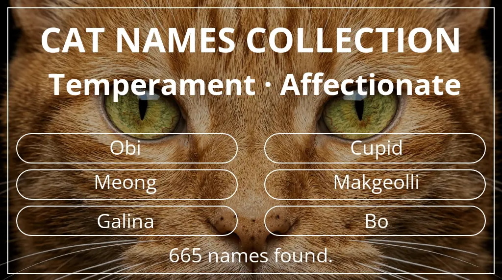 Feline names based on affectionate temperament