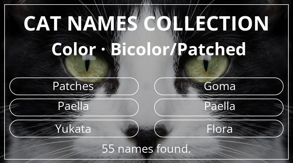 Cat names based on bicolor/patched color