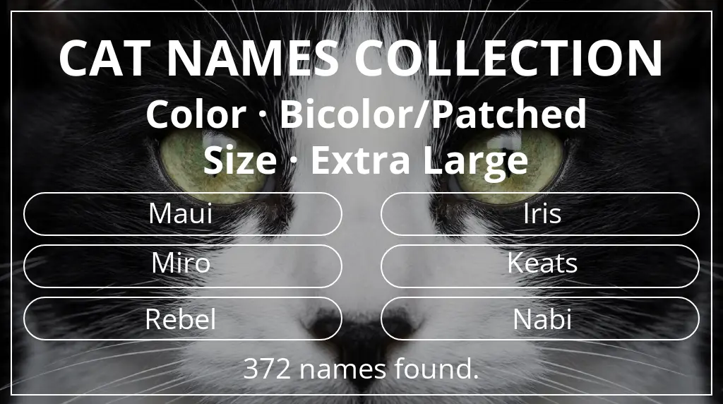 Feline names based on bicolor/patched color and extra large size