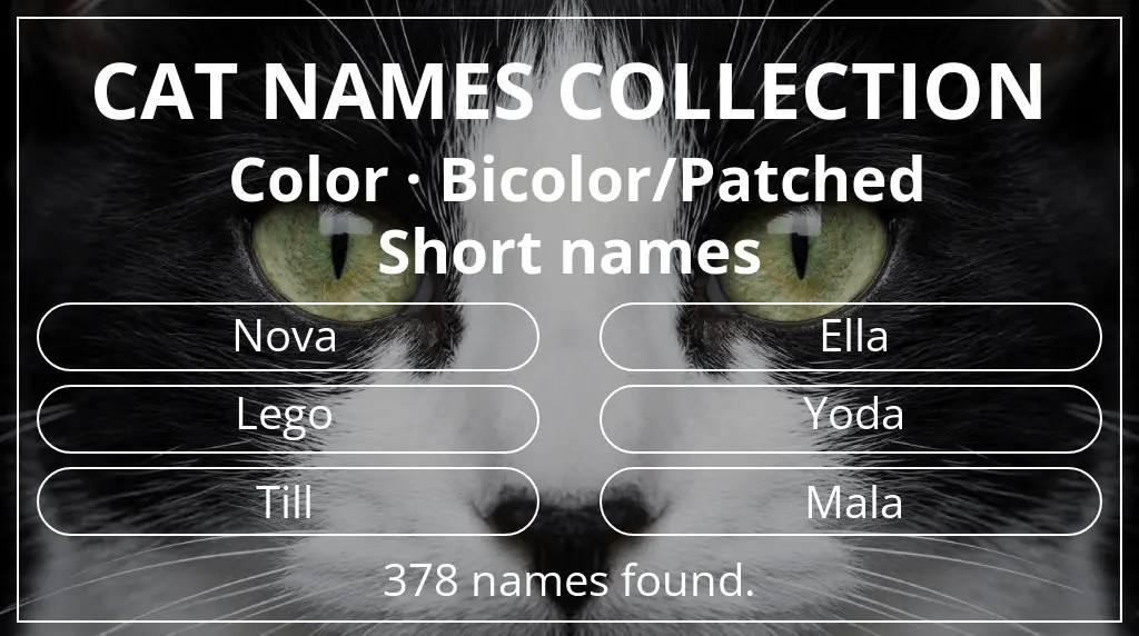 Cat names based on bicolor/patched color and short (2–4) name length