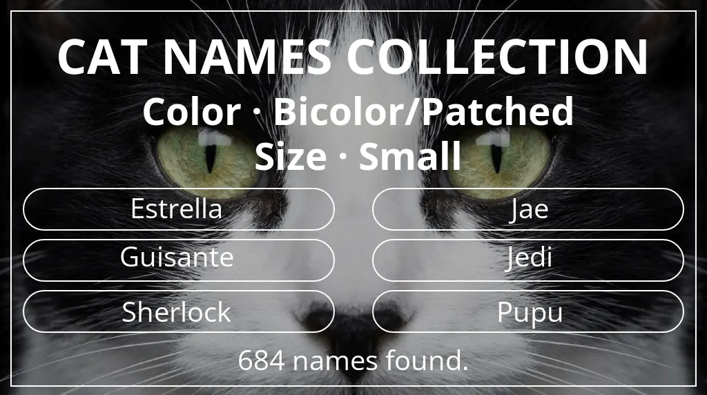 Cat names based on bicolor/patched color and small size