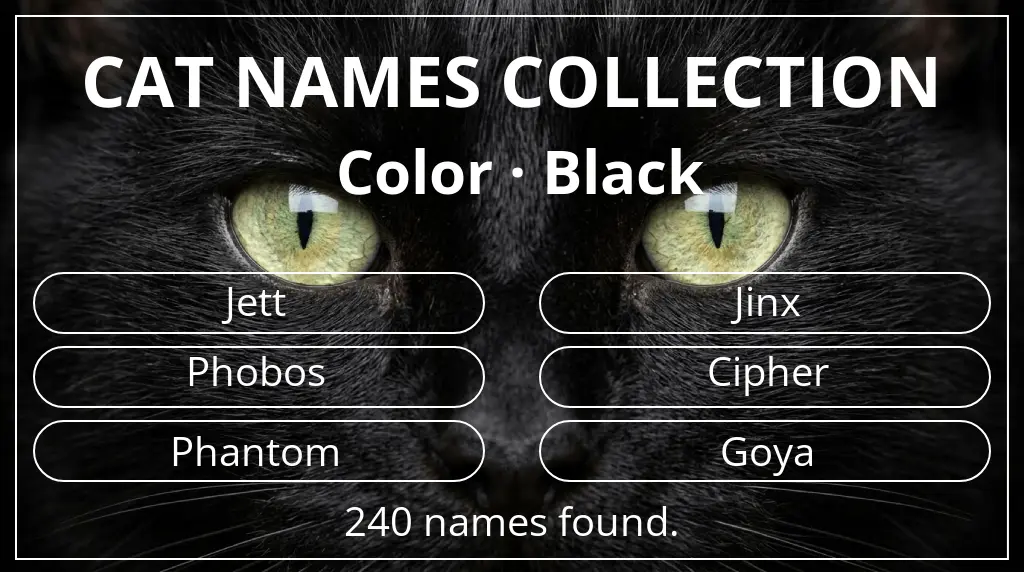 Cat names based on black color