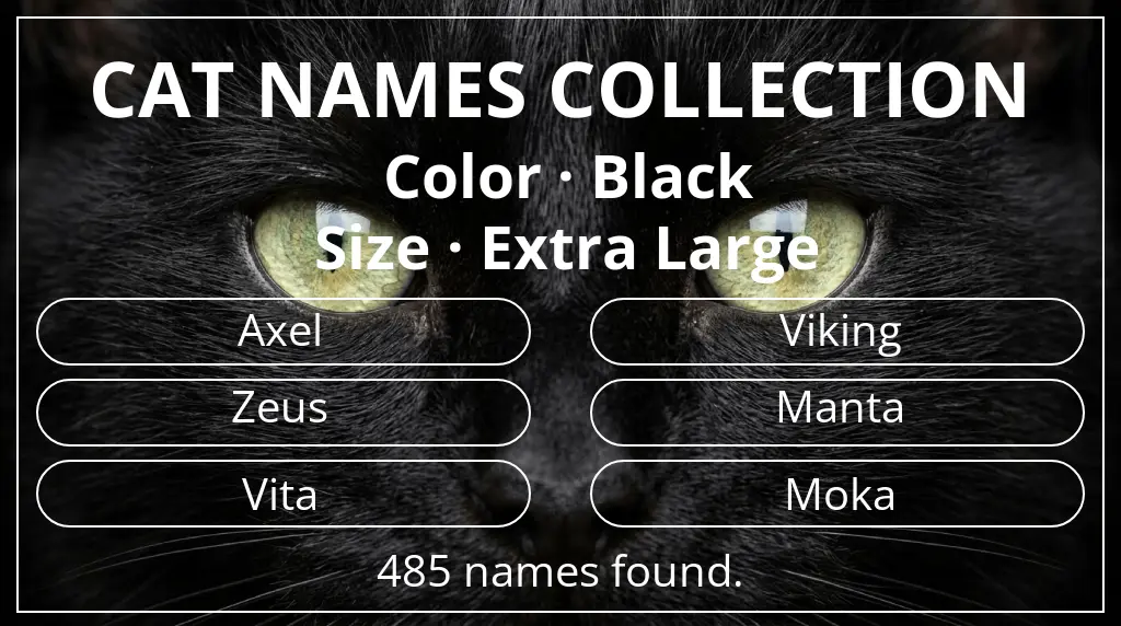 Cat names based on black color and extra large size