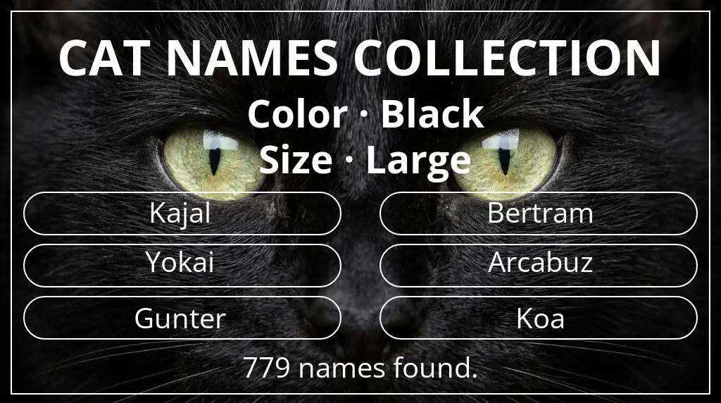 Cat names based on black color and large size