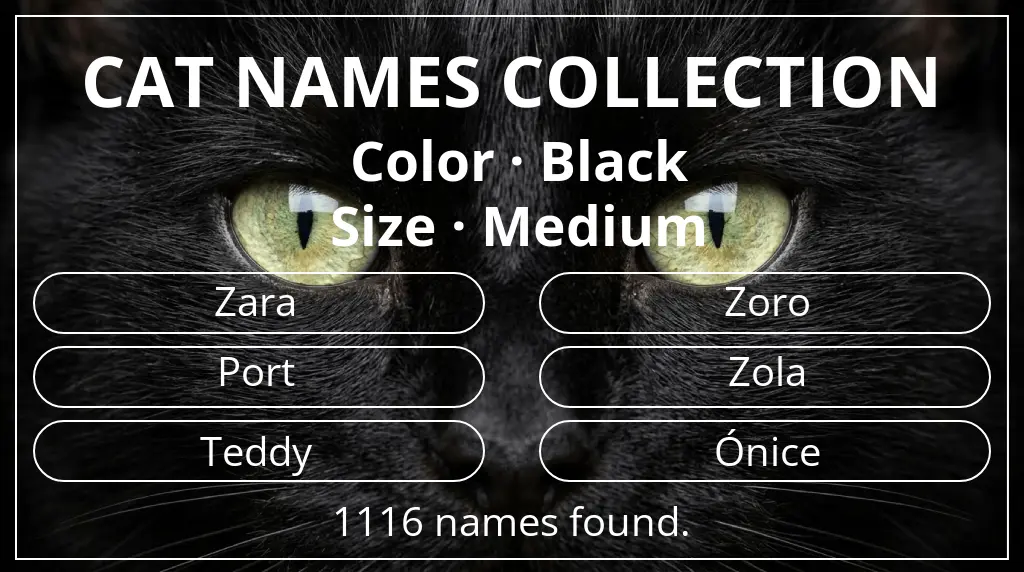 Cat names related to black color and medium size