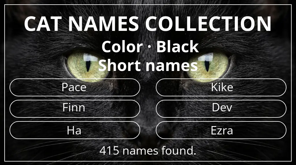 Feline names based on black color and short (2–4) name length