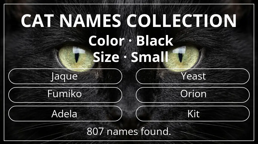 Names for cats related to black color and small size
