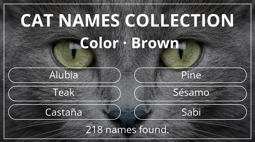 Cat names inspired by brown color