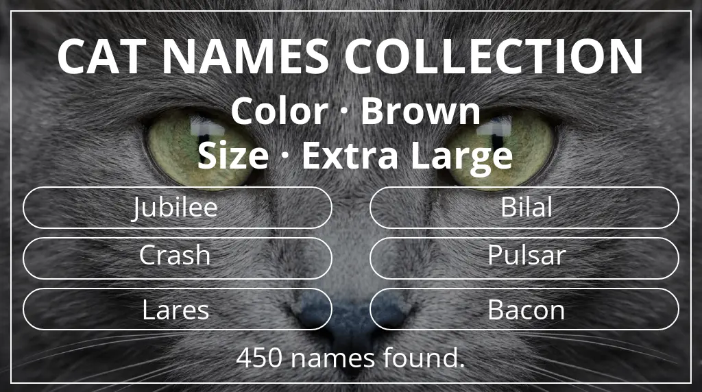 Cat names inspired by brown color and extra large size