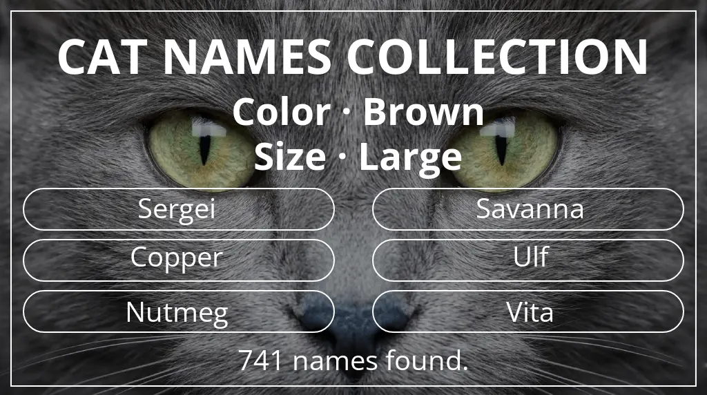 Feline names based on brown color and large size