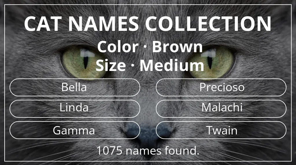 Feline names based on brown color and medium size