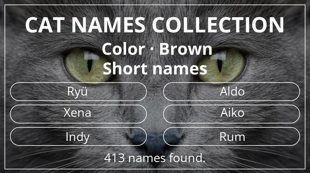 Names for cats based on brown color and short (2–4) name length