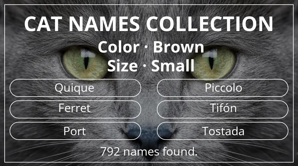 Cat names related to brown color and small size