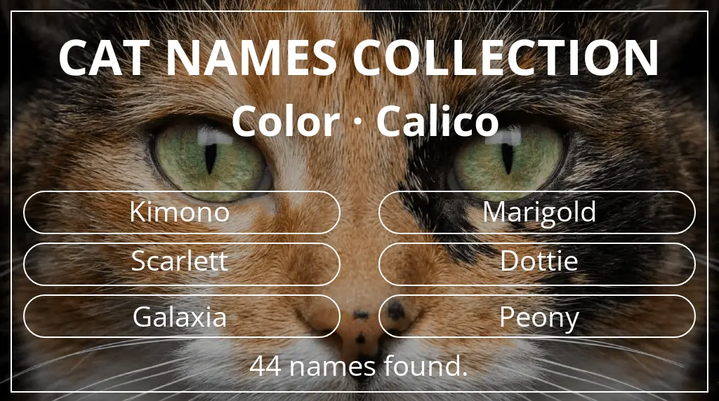 Feline names based on calico color