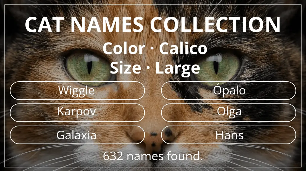 Cat names based on calico color and large size