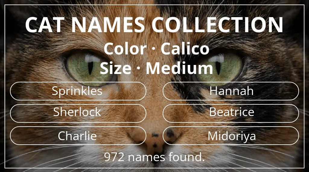 Names for cats related to calico color and medium size