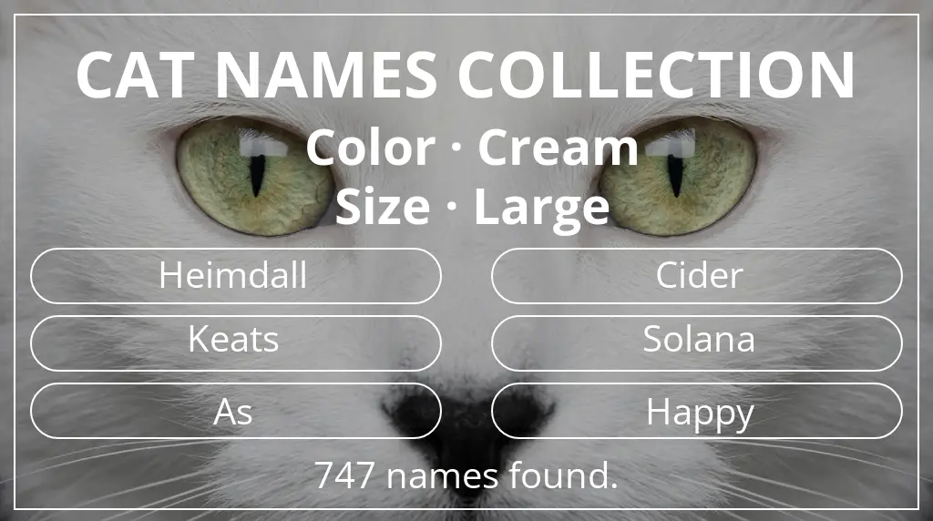 Feline names related to cream color and large size